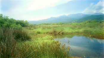 Marais de l'étang de Palu avec le massif de Bavella en arrière-plan