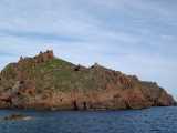 Ile de Gargalo avec sa tour génoise (et ses rats&nbsp;!)