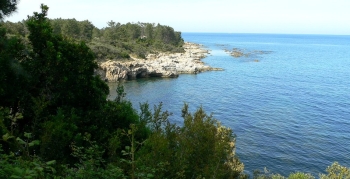 Crique de Favone