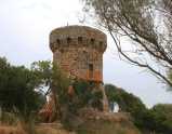 Tour de Micalona