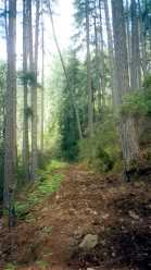 Le sentier en repartant de Casa Infurcata