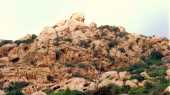 Rochers vers le phare de Senetosa