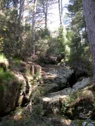 Alentours de la maison forestière de San Leonardo