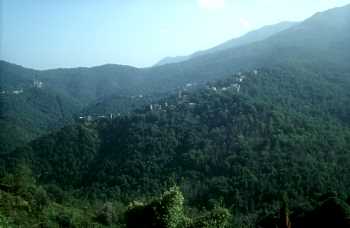 Le village de Carchetu dans un océan de verdure Le village de Carchetu dans un océan de verdure