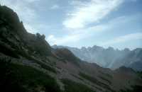 Mouflon corse dans toute sa splendeur&nbsp;!