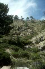 Dans la montée de Bocca di l'Ondella Dans la montée de Bocca di l'Ondella