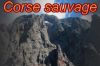 Logo Corse sauvage