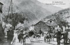 Départ de transhumance