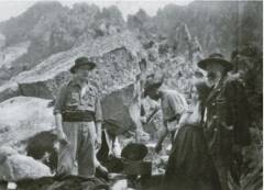 Transhumance en montagne corse