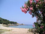 Plage de Favone