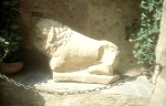 Ruines d'Alalia : lion étrusque
