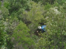 Sentier du Cap Corse