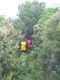 Mur de verdure au Cap Corse