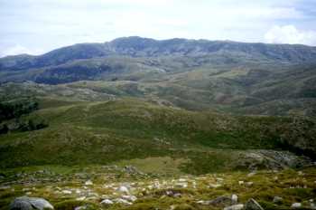 Le plateau du Coscione