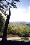 Autre vue du plateau du Coscione