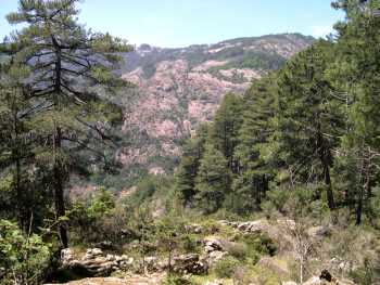 Les Bergeries ruinées de Casa Infurcata