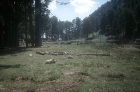 Le lac de Crenu et ses cochons