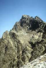 Monte d'Oro