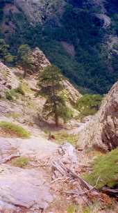 Couloir de montée au Pas de la Chèvre